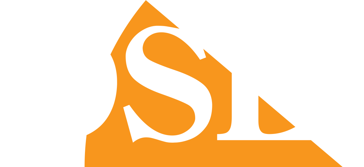 DSE Italia Torino Italy